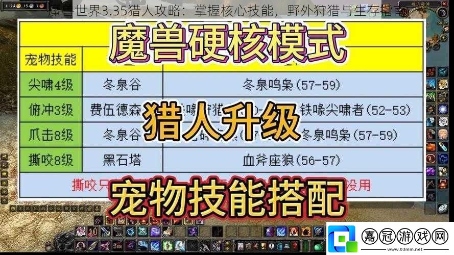 魔獸世界3.35獵人攻略